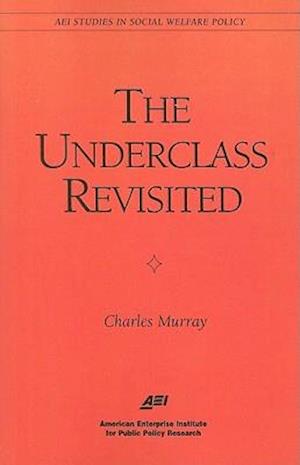 The Underclass Revisited