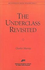 The Underclass Revisited