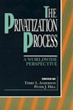 The Privatization Process
