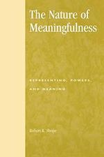 The Nature of Meaningfulness
