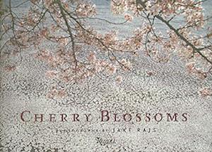 Cherry Blossoms