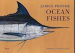 James Prosek: Ocean Fishes
