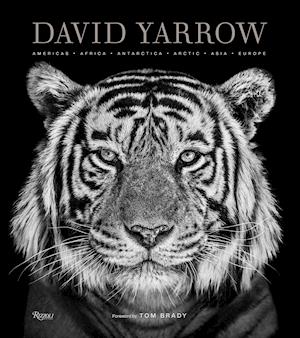 David Yarrow Photography