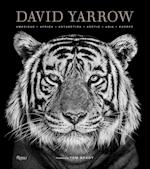 David Yarrow Photography