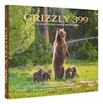 Grizzly 399