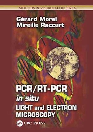 PCR/RT- PCR in situ