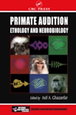 Primate Audition