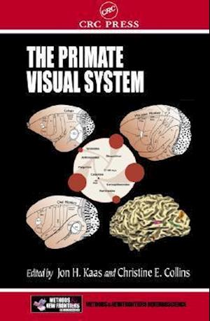 The Primate Visual System