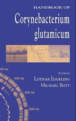 Handbook of Corynebacterium glutamicum