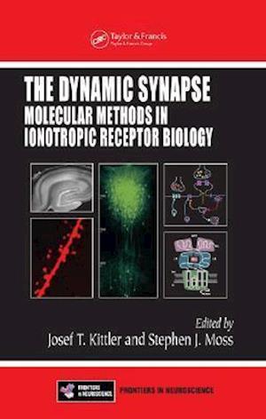 The Dynamic Synapse