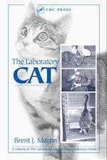 The Laboratory Cat