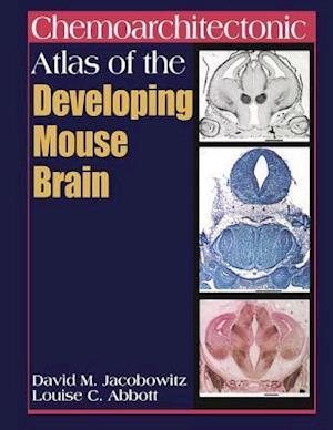 Chemoarchitectonic Atlas of the Developing Mouse Brain