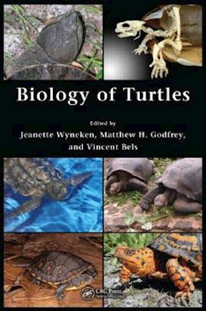 Biology of Turtles