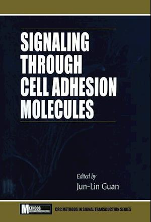 Signaling Through Cell Adhesion Molecules