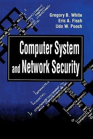 Computer System and Network Security