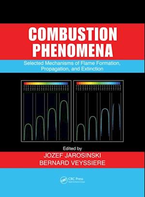 Combustion Phenomena