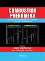 Combustion Phenomena