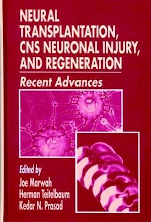 Neural Transplantation, CNS Neuronal Injury, and Regeneration