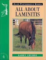 All about Laminitis No 4