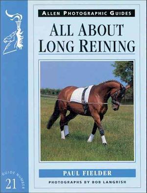 All About Long Reining