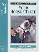 Your Horse's Teeth