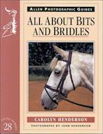 All about Bits and Bridles