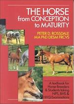 Horse from Concep.to Maturity