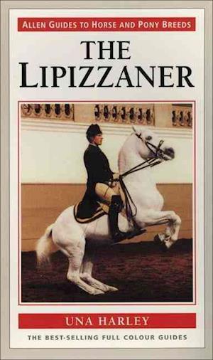 Lipizzaner Horse the