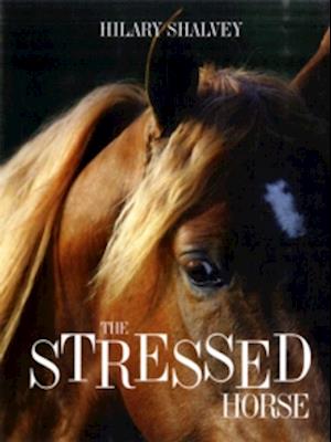 Stressed Horse