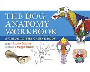 Dog Anatomy Workbook