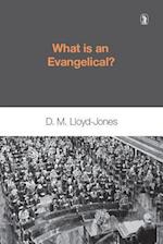What is an Evangelical