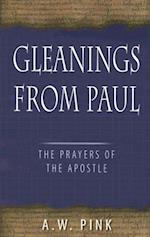 Gleanings from Paul