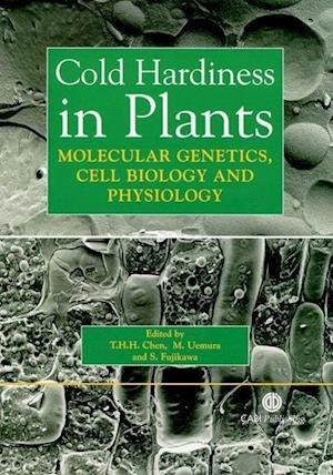 Cold Hardiness in Plants