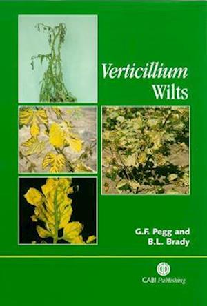 Verticillium Wilts