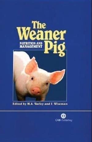 Weaner Pig