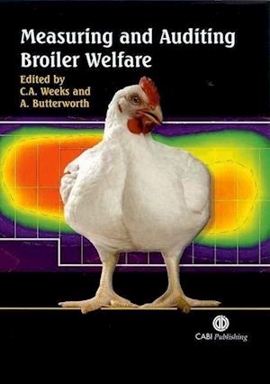 Measuring and Auditing Broiler Welfare