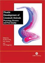 Muscle Development of Livestock Animals