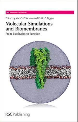 Molecular Simulations and Biomembranes