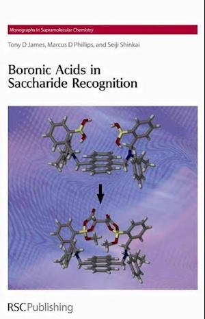 Boronic Acids in Saccharide Recognition