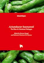 Acinetobacter baumannii - The Rise of a Resistant Pathogen