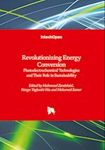 Revolutionizing Energy Conversion - Photoelectrochemical Technologies and Their Role in Sustainability