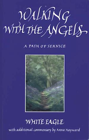 WALKING WITH THE ANGELS - ebook