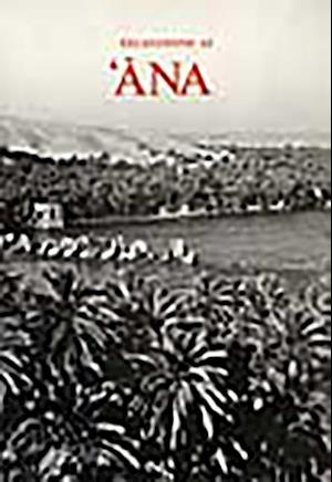Excavations at Ana