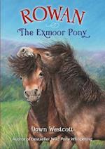 Rowan The Exmoor Pony