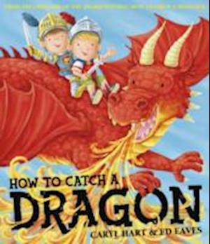 How To Catch a Dragon