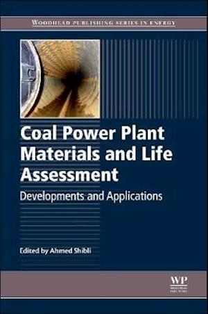 Coal Power Plant Materials and Life Assessment