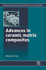 Advances in Ceramic Matrix Composites