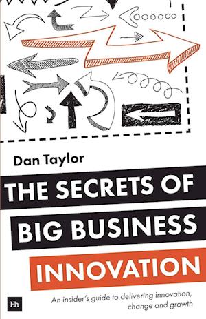 The Secrets of Big Business Innovation