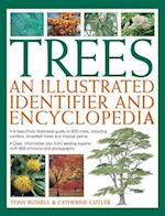 Trees: An Illustrated Identifier and Encyclopedia