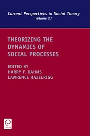 Theorizing the Dynamics of Social Processes